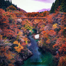 山形県新田橋の紅葉。
山形駅→米沢駅→小国駅
小国駅からはタクシーで目的地まで行きました。
人はほとんど居なく、あまり有名な撮影地ではないのかもしれません。
近くにある赤芝峡も必見です。