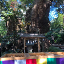 来宮神社