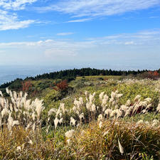 大和葛城山