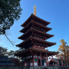 高幡不動尊金剛寺
五重塔