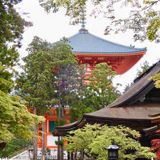 高野山
壇上伽藍あたり