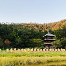 高畠町

阿久津八幡神社、三重の塔。
稲刈りの後。
今はあまりみなくなった、はさがけ。

#高畠町
#まほろば