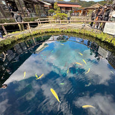 忍野村
山梨