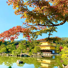 2022.11.9 金閣寺🍁