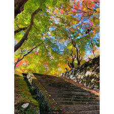 奈良　談山神社
紅葉と緑がきれい
どこを切り取っても
絵になる神社