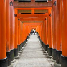 京都 伏見稲荷〜