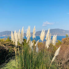 山口の周防大島
グリーンステイながうら

眺めのいいところに行ってきました
南国を思わせる宿泊滞在施設