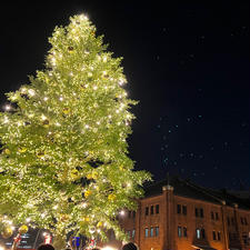 横浜
Christmas Market