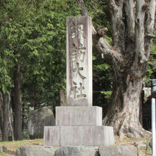 諏訪大社の御柱
　諏訪大社式年造営御柱大祭は上社の本宮と前宮、下社春宮と秋宮で申(さる)・寅(とら)年の 7年目ごとに行われている。奥山から樅(もみ)の大木を伐(き)り出し諏訪地方3市2町1村の大勢の氏子達が社頭まで曳(ひ)いて、それぞれ社殿四隅に建てることと、御宝殿の建て替え遷座の儀から成っている。これを大社側では「御柱祭(みはしらさい)」と呼んでいる。

#サント船長の写真