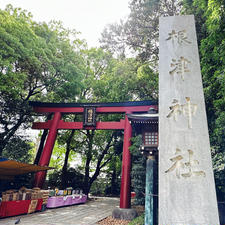 根津神社では、只今文京つつじまつりが開催中。
約3000株のつつじ苑のつつじは圧巻です！つつじの限定御朱印も、参拝された際はぜひ！

#根津神社#つつじ#つつじ祭#御朱印