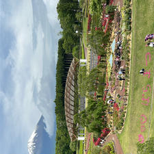 富士山樹空の森のバラフェア