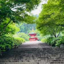 大阪　勝尾寺

青もみじと紫陽花も
綺麗でした

紅葉のころにも
行ってみたい

西国三十三所観音巡礼
二十三番札所