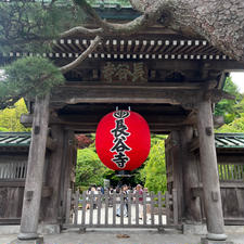 2023年6月10日(土)
長谷寺の山門前まで行ってきました🏮
紫陽花シーズンなので観光客で大賑わいでした😳

#長谷寺 #パワースポット #紫陽花 #鎌倉 #神奈川
#観光名所 #寺