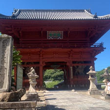 御朱印をいただきに粉河寺へ
本道への道のりも良い感じ✨