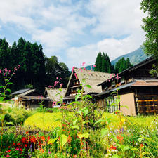 富山　五箇山
菅沼合掌造り集落

自然豊かな小さな集落
本当にのどかな風景が広がります。

早くきてほしい秋