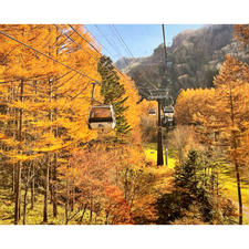 群馬県の丸沼高原へ✨

日光白根山ロープウェイ山麓駅から約15分で標高2,000mの世界へ🎶

紅葉がとても綺麗で、山頂駅到着後にも周辺に「天空カフェ」や「天空の足湯」などがあり、とっても楽しかったです🥰