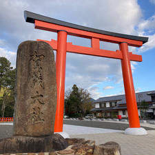 京都府/上賀茂神社

正式名称を賀茂別雷（かもわけいかづち）神社といい、御祭神に賀茂別雷大神をお祀りしています。

広大な敷地の上賀茂神社には、境内や境外に摂末社があわせて24社もあります。それぞれに神様が祀られ、ご利益もさまざまとのことです。

そろそろ帰宅しようと四条大宮駅に戻ってきたら、タイミングよく上賀茂神社へ行くバスが来たので、思わず飛び乗ってしまいました😝（京都市バス乗り放題のチケット有）
お陰様で京都最古級の歴史を誇るお社にもお参りすることができました😌

#puku2'23
#puku2"12
#puku2そうだ!京都へ行こうの旅'23 
#京都#神社仏閣#上賀茂神社#鳥居#紅葉