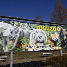 埼玉県にある東武動物公園に行ってきました。
可愛い動物たちがたくさんいる楽しい動物園でした😊
また遊園地と併設されているため
多くの家族で賑わっていました😊