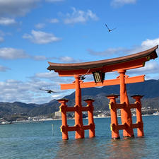 20240116

広島県
安芸国　一の宮　厳島神社

鳥居は海中に浮かんでたけど
能舞台あたりはまだ潮が満ちてなくて
残念…って思ってたら
どんどん潮が満ちてきて
引力を目の当たりにして感動しました

御朱印は直書きしていただきました