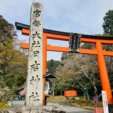 滋賀　日吉大社

神猿(まさる)さんに
会ってきました

東西の楼門は
見ごたえあり