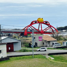 かえる橋🐸
和歌山県印南町
ユニークなこの橋は実際に使われてます。
⚫︎海の方に車を走らせると〝かえるの港‘’という販売所があります。漁師さんが自ら釣った魚を販売しています。（この日は平日なので漁師さんのブースはクローズで残念。店内にもカエルのオブジェあり。何故カエルか？私はいまだによくわかってません。
が、かえるの町…です