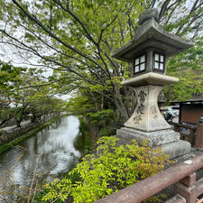 八幡堀　(近江八幡)

八幡堀は、安土・桃山時代に豊臣秀次の八幡山城居城のもと、城下町が栄える基礎となった町の一大動脈です。
近江商人の発祥と発展、また町の繁栄に大きな役割を果たし賑わいを見せたといいます。


#サント船長の写真　#近江八幡　#時代劇の聖地