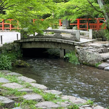 上賀茂神社　明神川

此の川は上賀茂神社の中を流れて居ます。
また此の川は時代劇に良く使われる、場所ですね。あの有名な、切られ役の福本清三さんも此処で何度死んだか😅

#サント船長の写真　#時代劇の聖地
#京都が熱い
