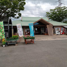 奈良県三郷町　信貴山のどか村

信貴山（しぎさん）という山の上にある、農業公園です。野菜や果物の味覚狩り、バーベキュー、園内散策が楽しめます。

園内で取れた野菜や果物を使った軽食、ジュース、パフェなども味わえます。スタッフが作った石窯で焼いたピザは、とても美味しいので、私は行くたびに味わっています。