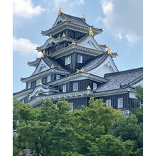 岡山城(烏城)
建て直されているので綺麗✨中も博物館のよう。
吉備津神社
桃太郎の神話が伝わる神社。いろんな神様を祀ってる。学業のお祈りをしてきた。
路面電車とソールフード(？)のえびめし☺️