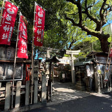 若一神社

平清盛ゆかりの神社。
開運出世の御利益があるそうです。
2024.10.5