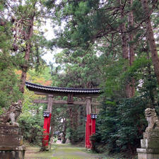 20241010
佐渡　牛尾神社

朝からいくつも能舞台がある神社をまわりましたが
扉が開いているところはなく…

こちらの牛尾神社だけは開いていてやっと
中が見ることが出来ました

能舞台も見れてよかったのですが
こちらの拝殿の彫刻のすごさ…
物語絵や、鯉の泳ぐ姿など所狭しと細かく彫られ
とても感動しました

私が佐渡で行った神社仏閣の中では
一番好きなところでした