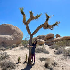 Joshua Tree National Park

カリフォルニア州にあるジョシュアツリー国立公園。
絶滅危惧種に指定されているジョシュアツリーが見れる場所です。
今にも恐竜が出てきそうな、はたまたまるで地球の終わりをも感じさせます。
個人的にカリフォルニアで一番好きな場所☺️