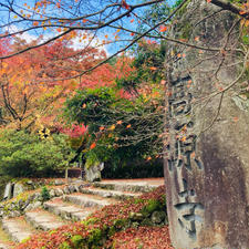 兵庫　高源寺

古刹の紅葉に癒されて