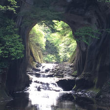 遊歩道が整備されていて、気持ちよく散策できる。