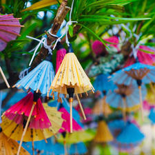 松陰神社

1番 快晴（大吉）でした♪