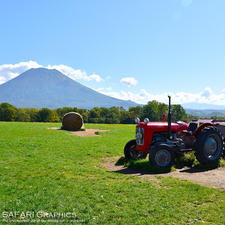 ニセコのシンボル羊蹄山（ようていざん）がバッチリ見えるフォトスポットが用意されている高橋牧場のミルク工房。新鮮なミルクを使用した飲むヨーグルトやソフトクリームが大人気です🍦