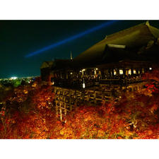 【京都】
清水寺 × 紅葉🍁


2015年に撮影した清水寺です。
2020年3月まで改修工事をしているので
現在この姿は見られません。
改修後が楽しみですね^_^