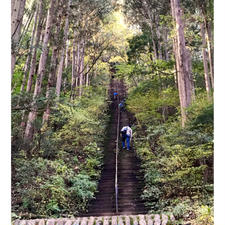 奥多摩 愛宕神社 
延々と続く急階段。
先が見えない笑