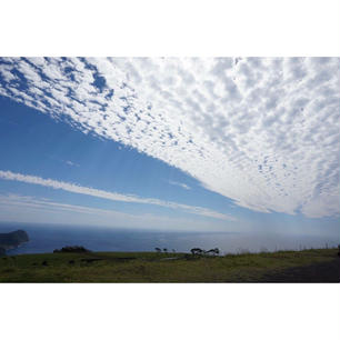 秋の雲
#八丈島#牧場