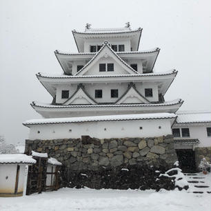 郡上八幡城