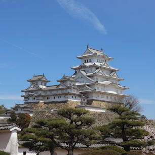 桜が満開のときに行った姫路城🏯