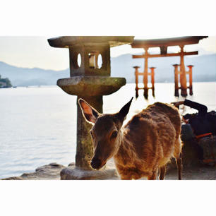 宮島 厳島神社