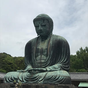 #高徳院
#鎌倉