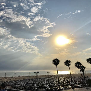 サンタモニカの桟橋から。
パームツリーと大きな夕日🌅