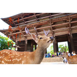 奈良県
〜奈良公園〜
奈良の鹿 癒されました💕
アプリで文字入れて
ポスター風に仕上げてみました😃