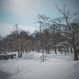 朝起きたらこの世界が広がっている幸せ。福島県