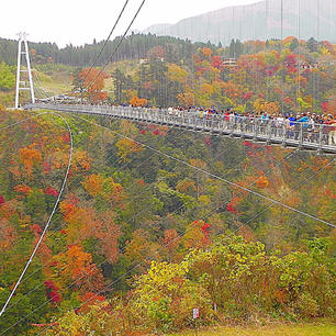 大分県
九重
夢大吊橋
吊橋なので、揺れ感ありますが、絶景です。