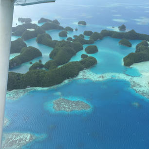 パラオ🇵🇼
天気は少し悪かったですが、上空からでも分かる透き通った綺麗な海でした。