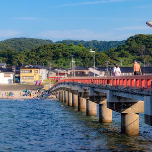 夏の由良海岸