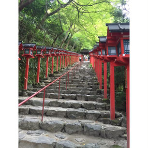 #貴船神社 #京都 #水占い #201508